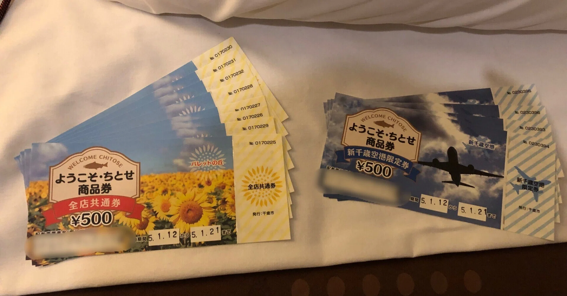 JR北海道完乗まとめ③ようこそ・ちとせ割活用編｜はっひょい