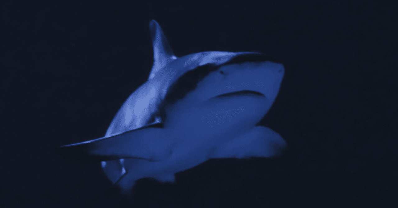 強い中国は清華が作る 強い中国は清華が作る 写真] 26ZX400S_GN2DRF3CG_A │ 最強