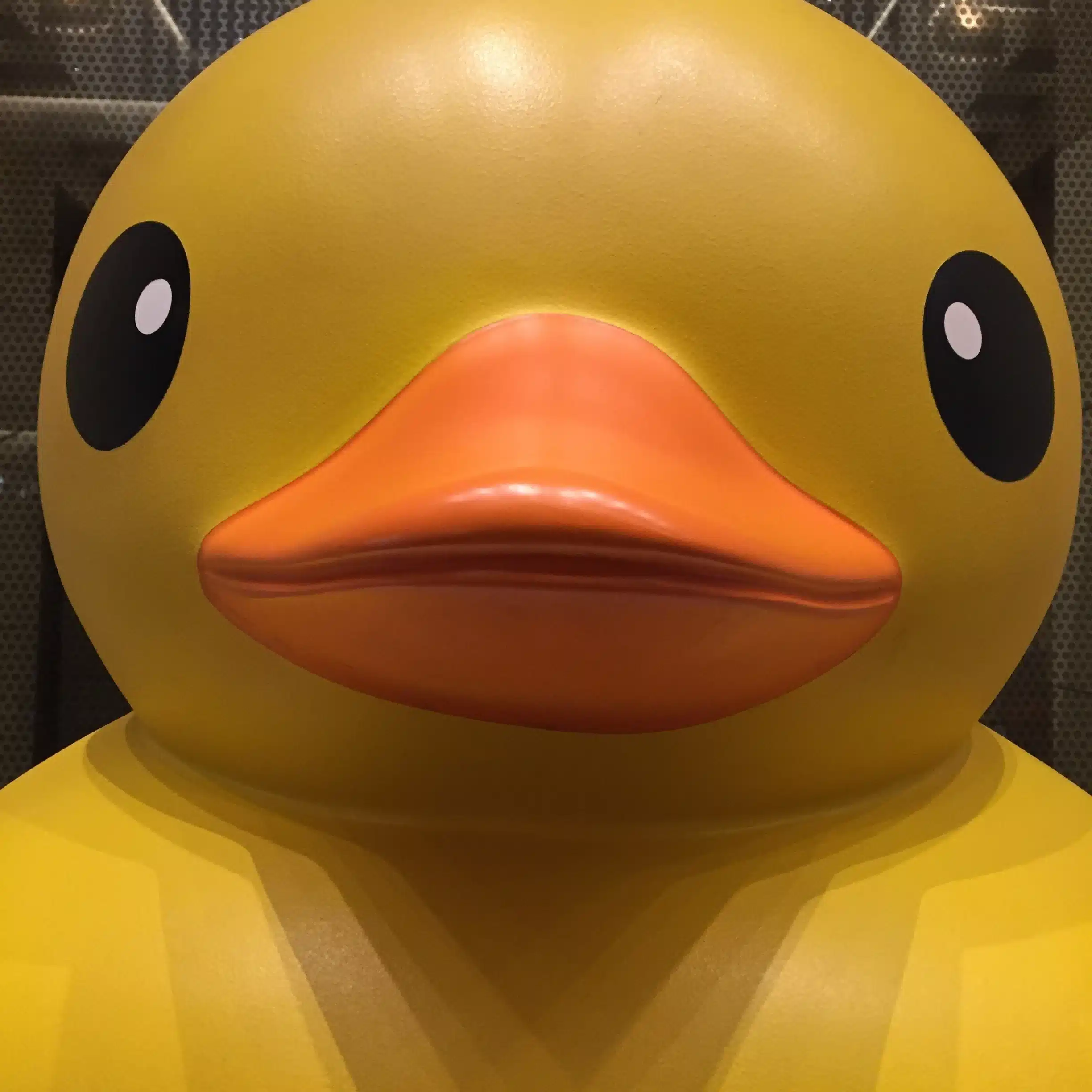 つきん