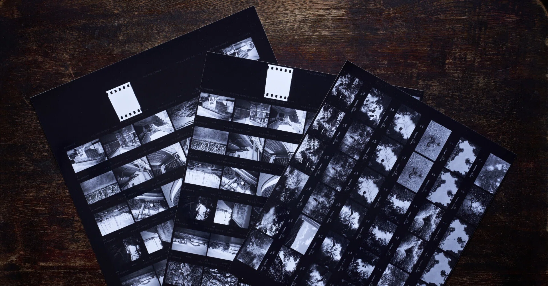 35mmフィルムの「シートベタ」バリエーション紹介｜白黒写真現像所