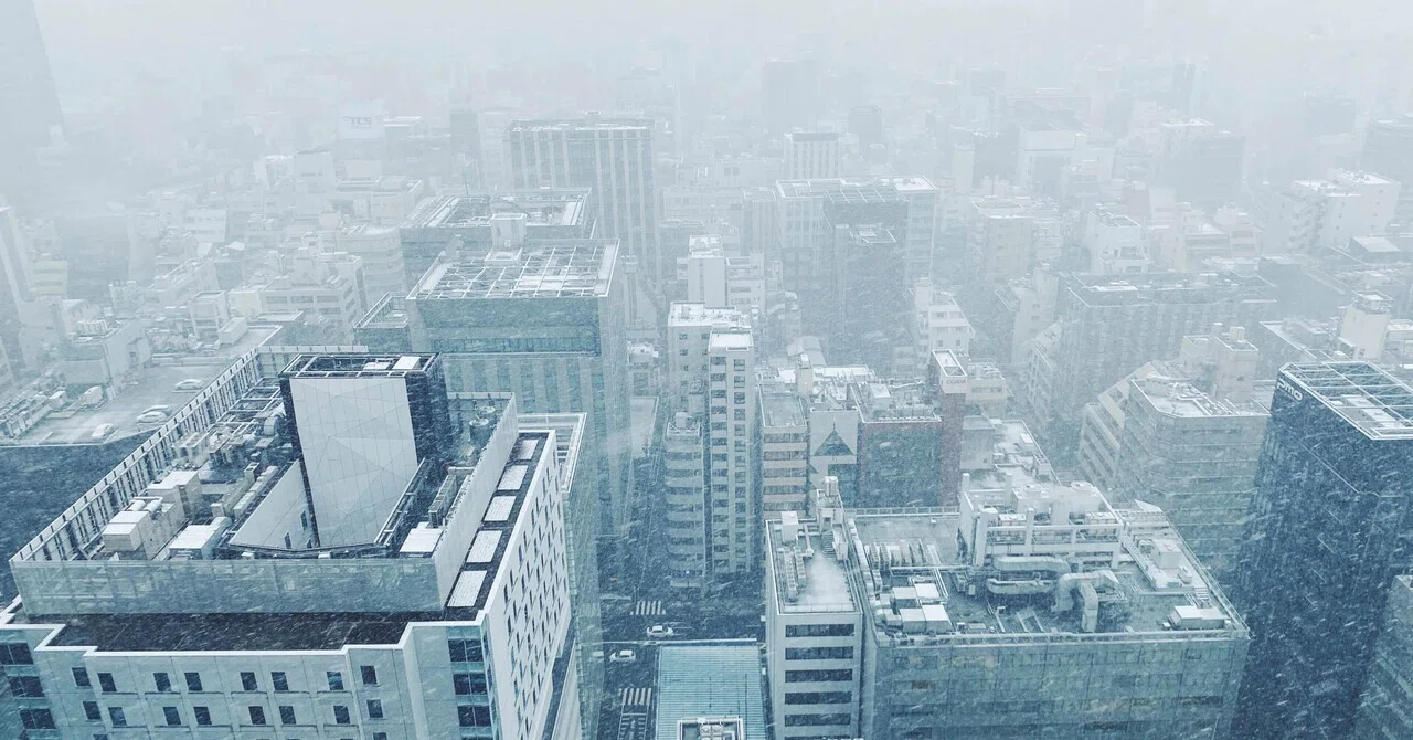 雪が降る降る言う時はだいたい降らないのは何故だ|暮石引