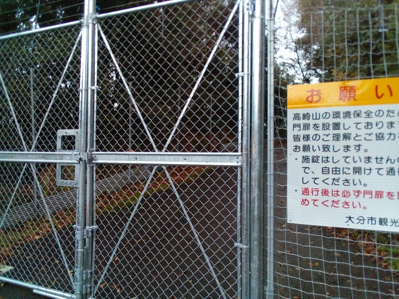 猿とも会えず不完全燃焼 19 12 27高崎山 真田正之 Note