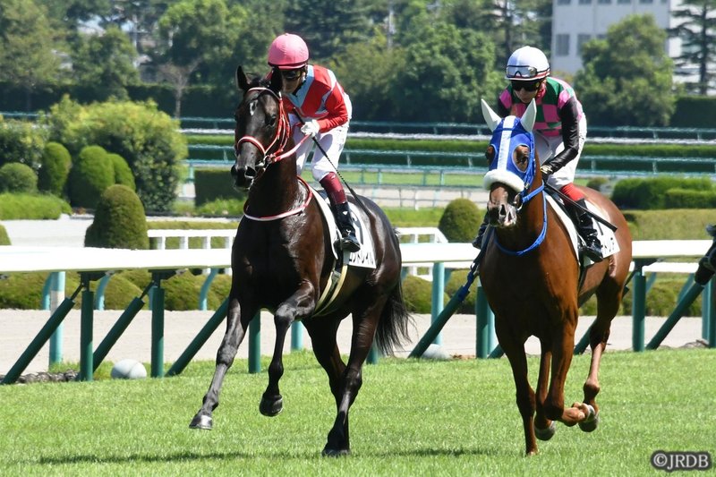 ホープフルs 古谷剛彦さんの印 Jrdb 競馬アラカルト Note