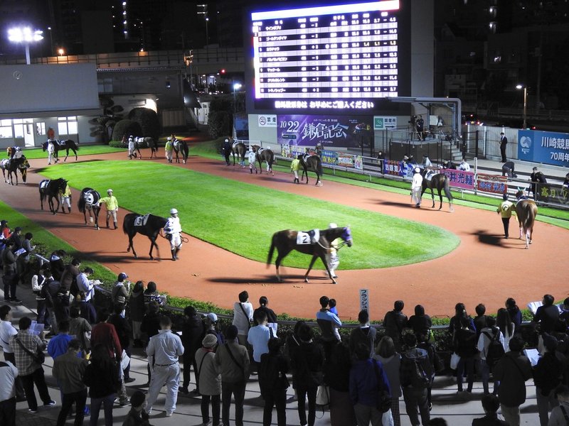 馬と会う 公園 になった 最古と最新の競馬場 どちらと馬が合う 雨宮 佐藤 明日香 Note
