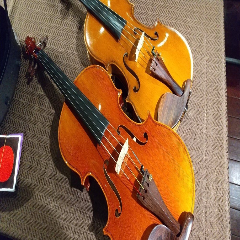 ヴィオラ弦難民の話｜中山 ただし