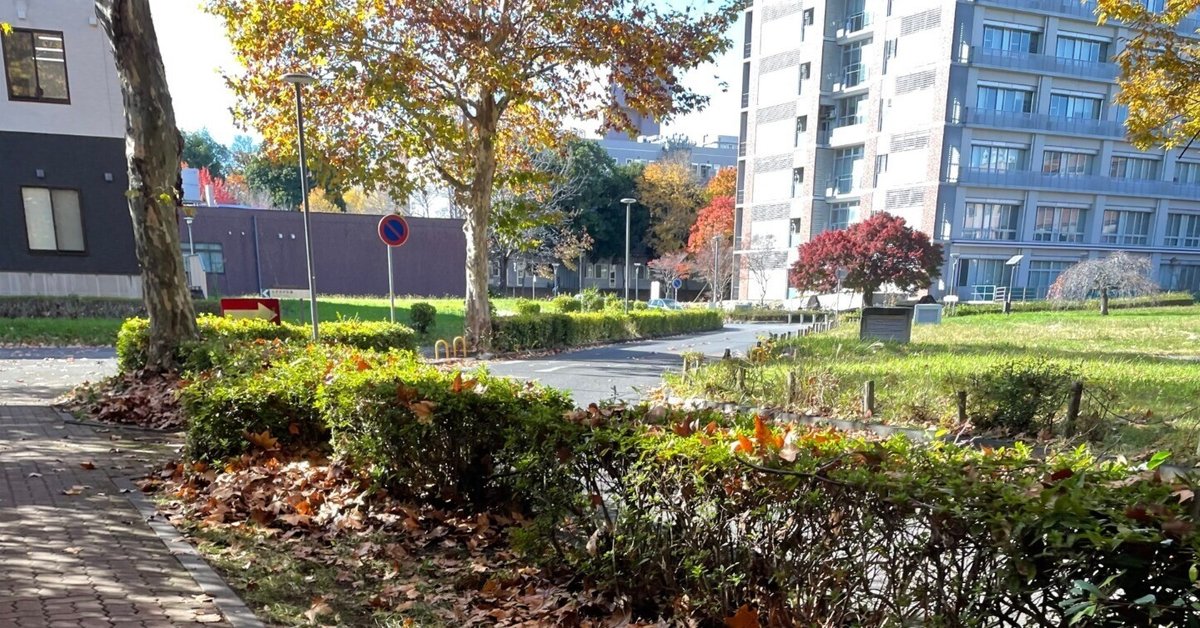 筑波大学化学類推薦入試合格体験記｜辣油