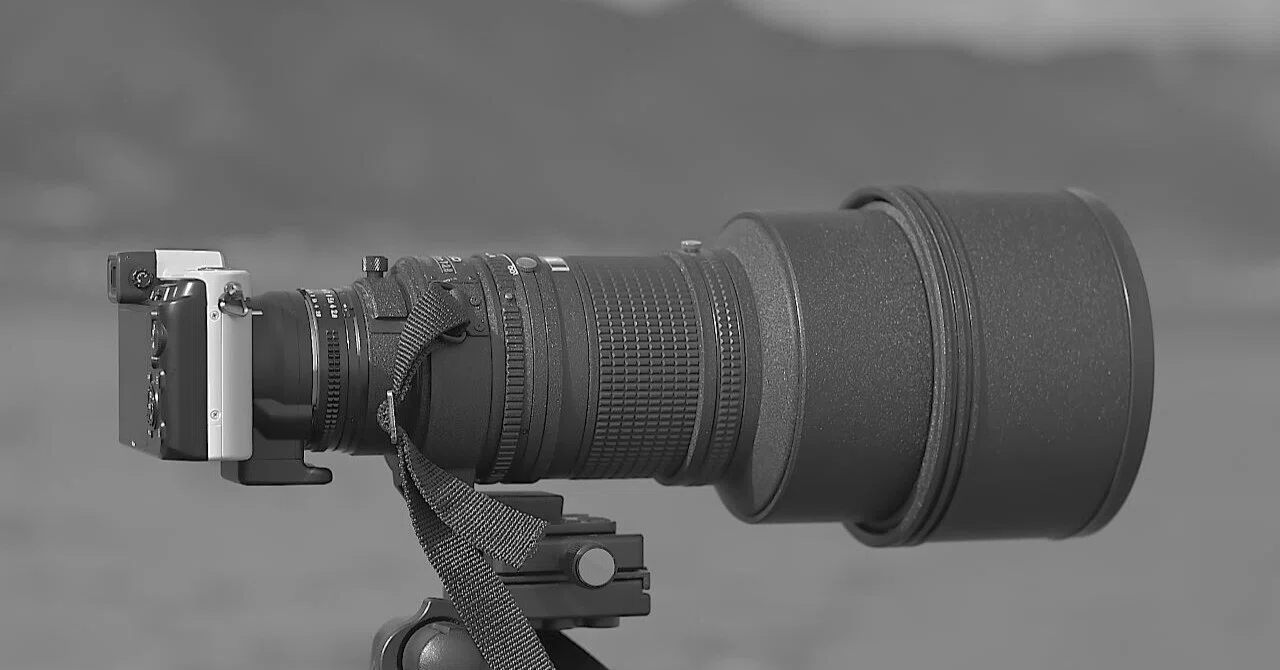 Nikon1v1｜AF ED NIKKOR300mm f/2.8｜夏と放し飼い