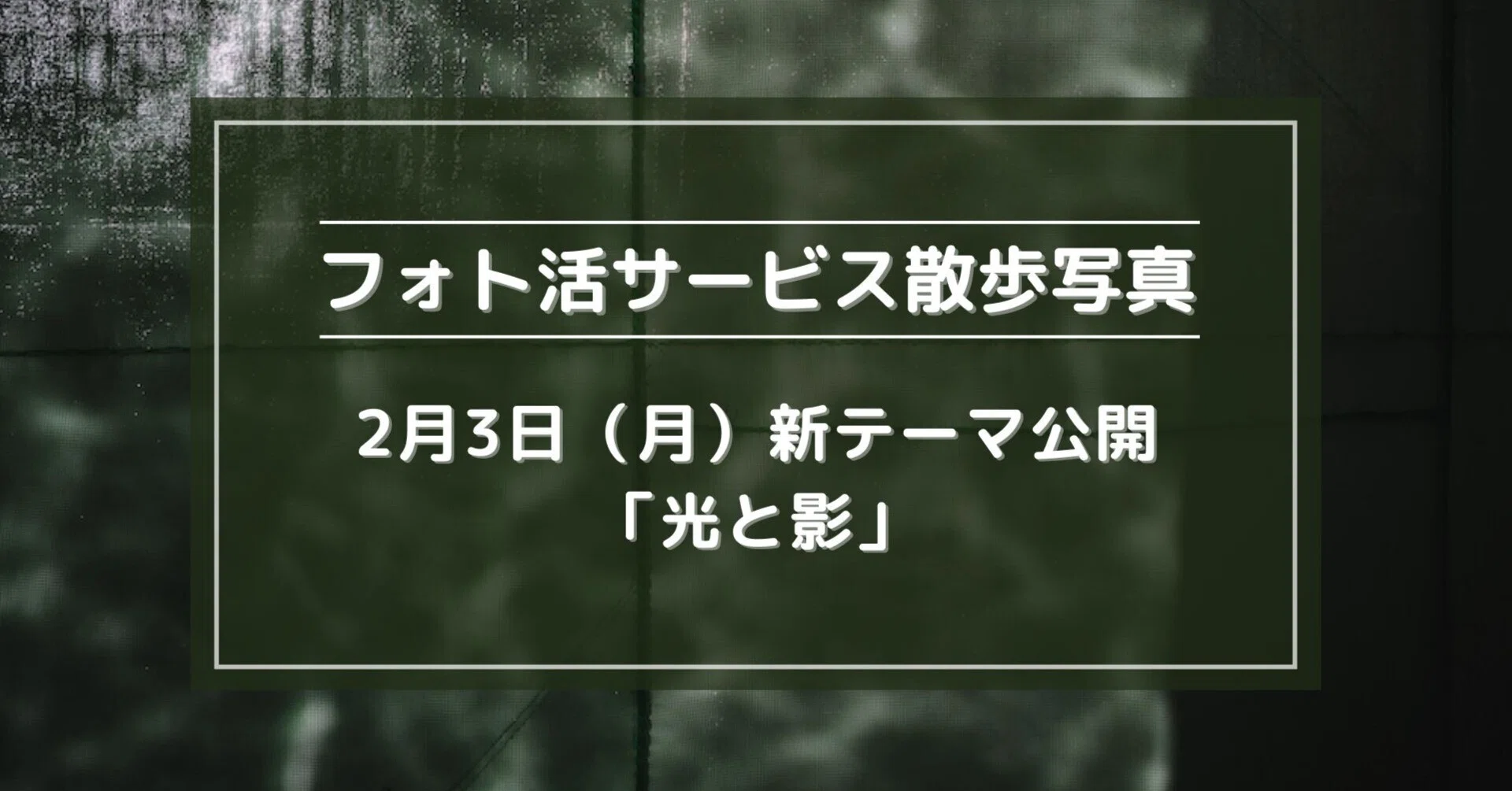 2月3日（月）新テーマ公開「光と影」｜散歩写真