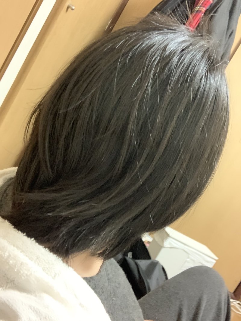 髪を切るだけで世界一可愛くなれる こ林 Note