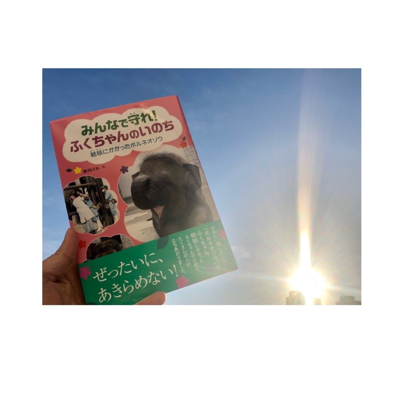 ふくちゃん闘病記 著者が伝えたかった あきらめない こと ハピズー Note ふくちゃん闘病記 著者が伝えたかった あきらめない こと ハピズー Note