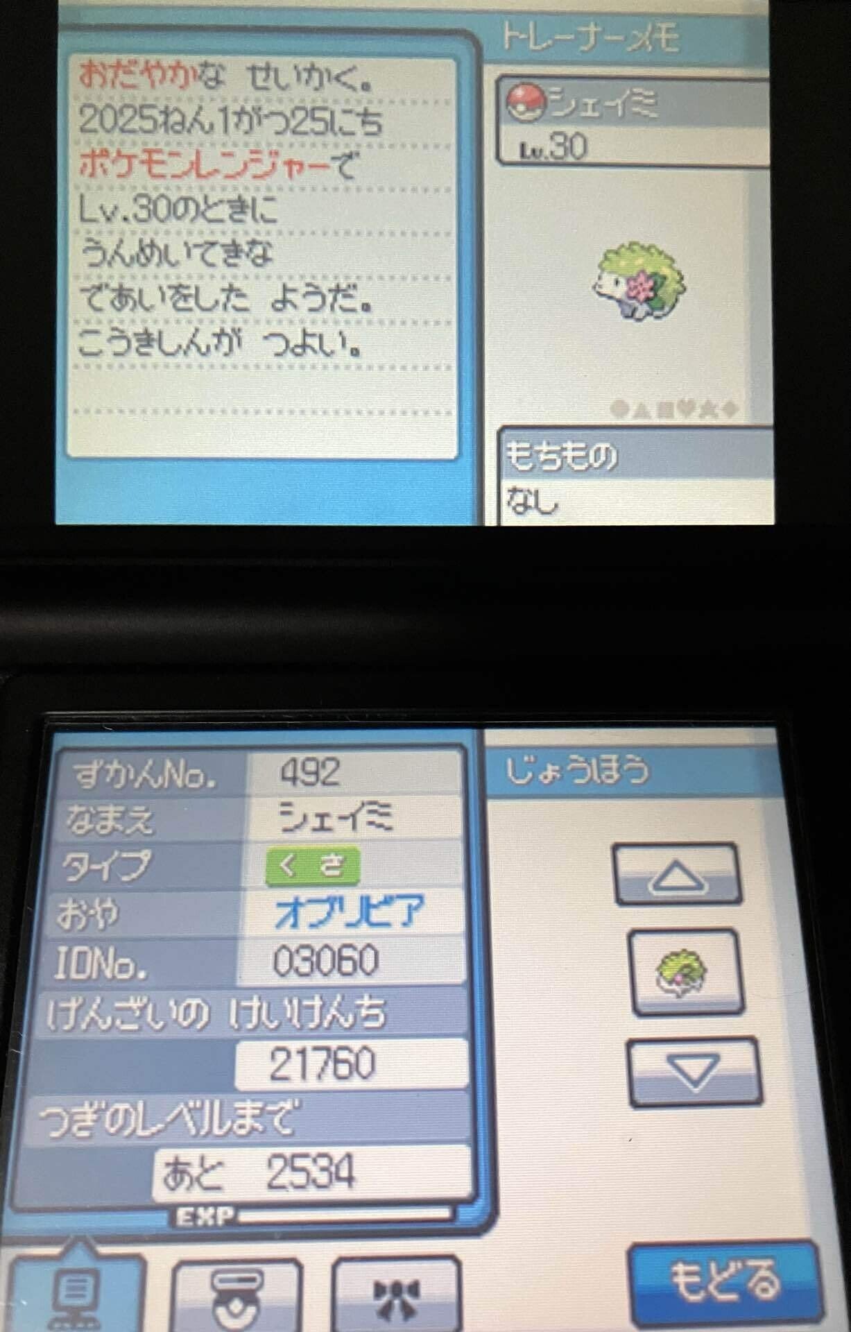 ムーン ポケモンレンジャー色違いマナフィ リボンコンプリート
