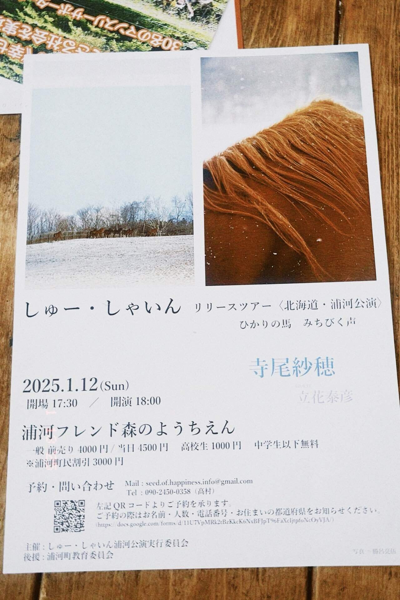 Amazon.co.jp: 寺尾紗穂 しゅー しゃいん LPレコード : おもちゃ