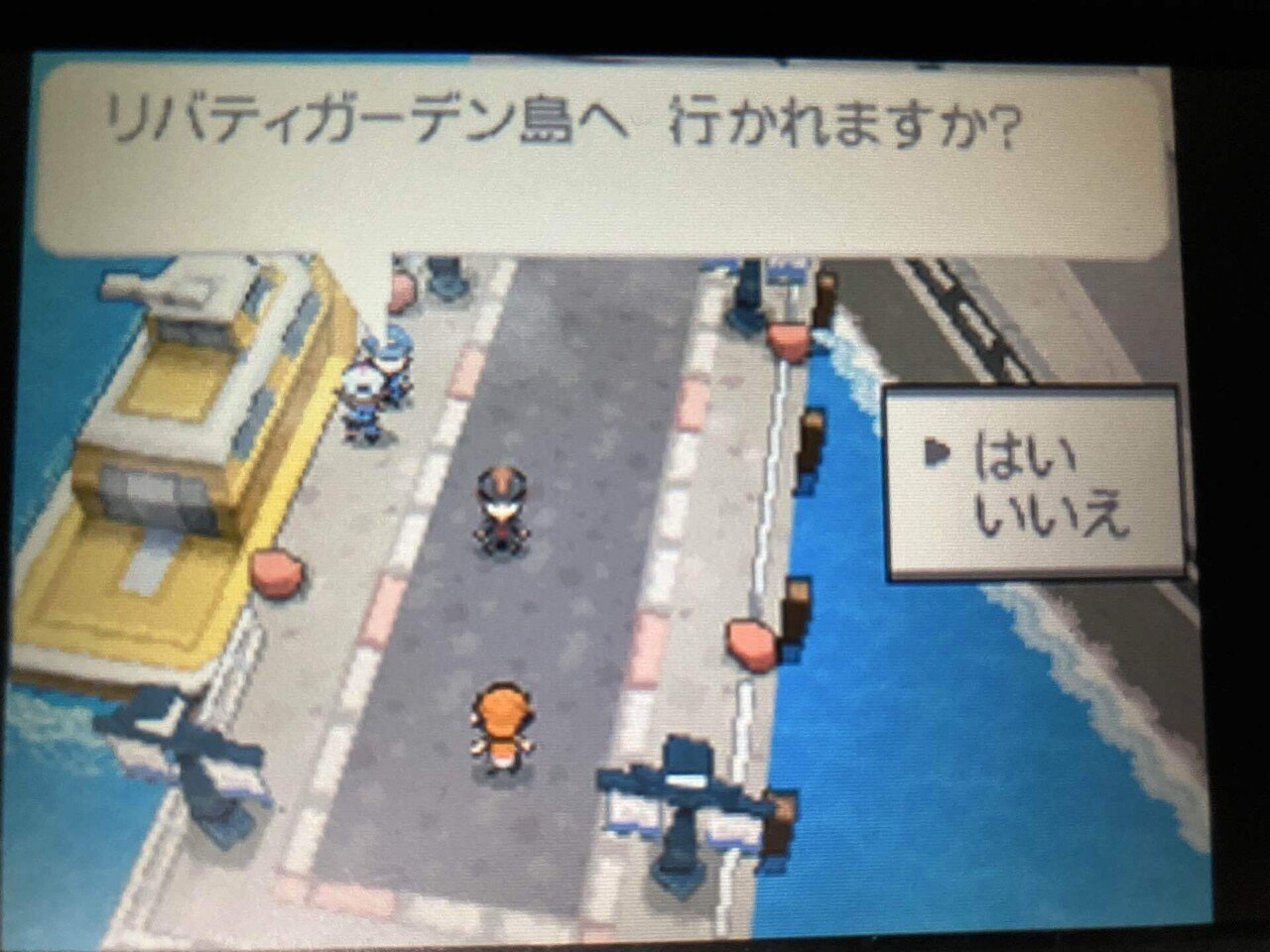 ポケットモンスター ブラック 配布ポケモン　色違い5種 ポケットモンスター ブラック 配布ポケモン 色違い5種