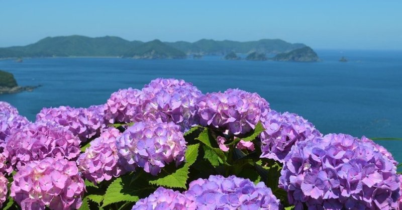 あじさい花咲く 空の公園 おおの たつや Note