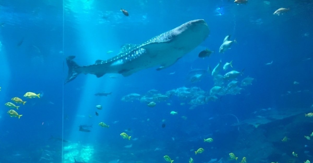 スペイン水注　1800年代　時代物￼ スペイン水注 1800年代 時代物￼