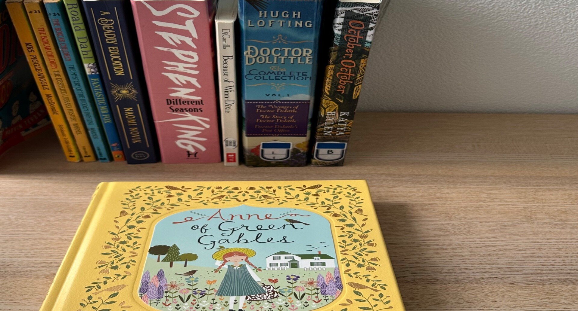 洋書 43冊セット 洋書 英語 多読 洋書 43冊セット 洋書 英語 多読 洋書