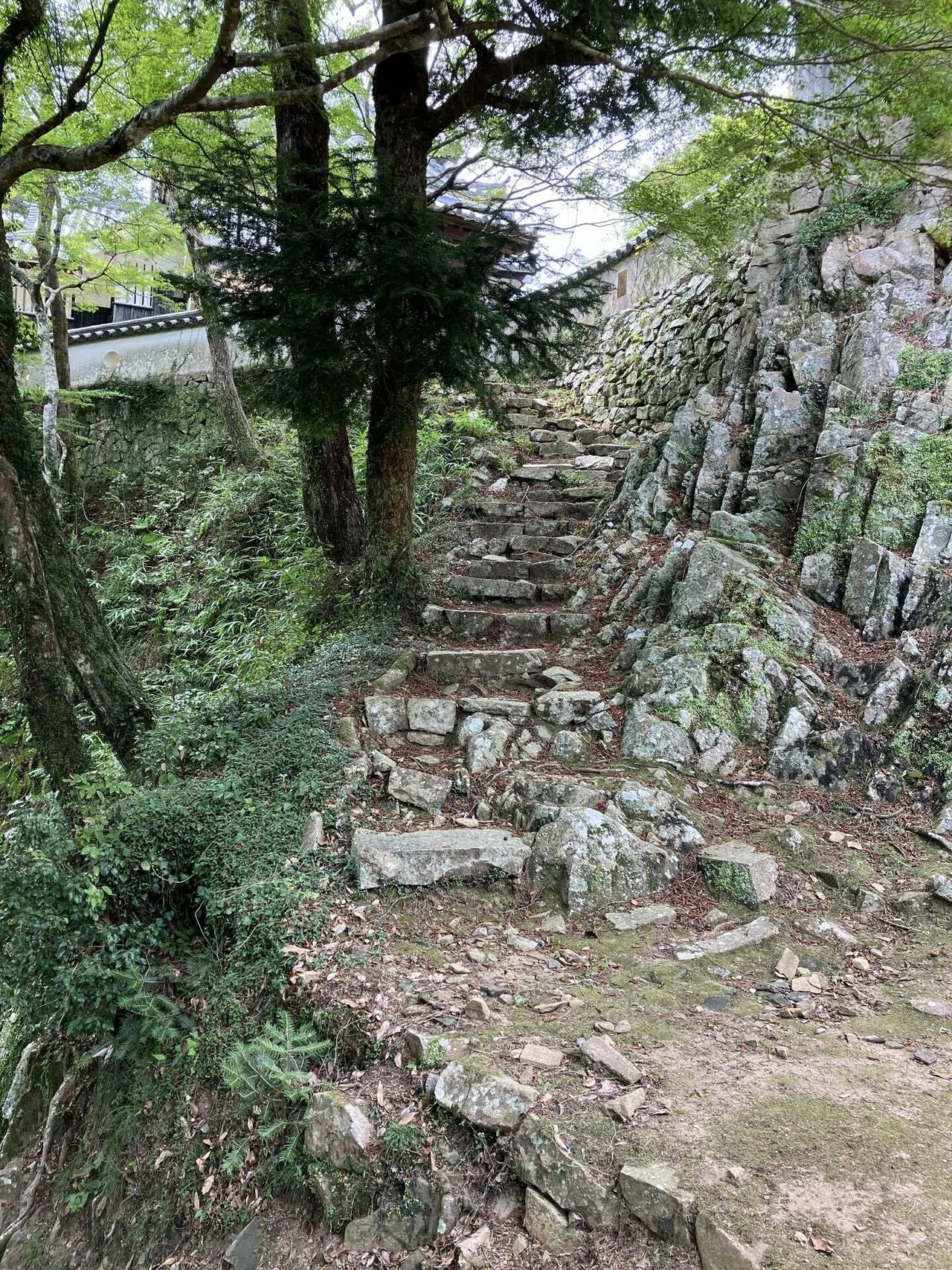 日本百名城】難攻不落の備中松山城、石垣が最高にエモかった｜令和の尚納言