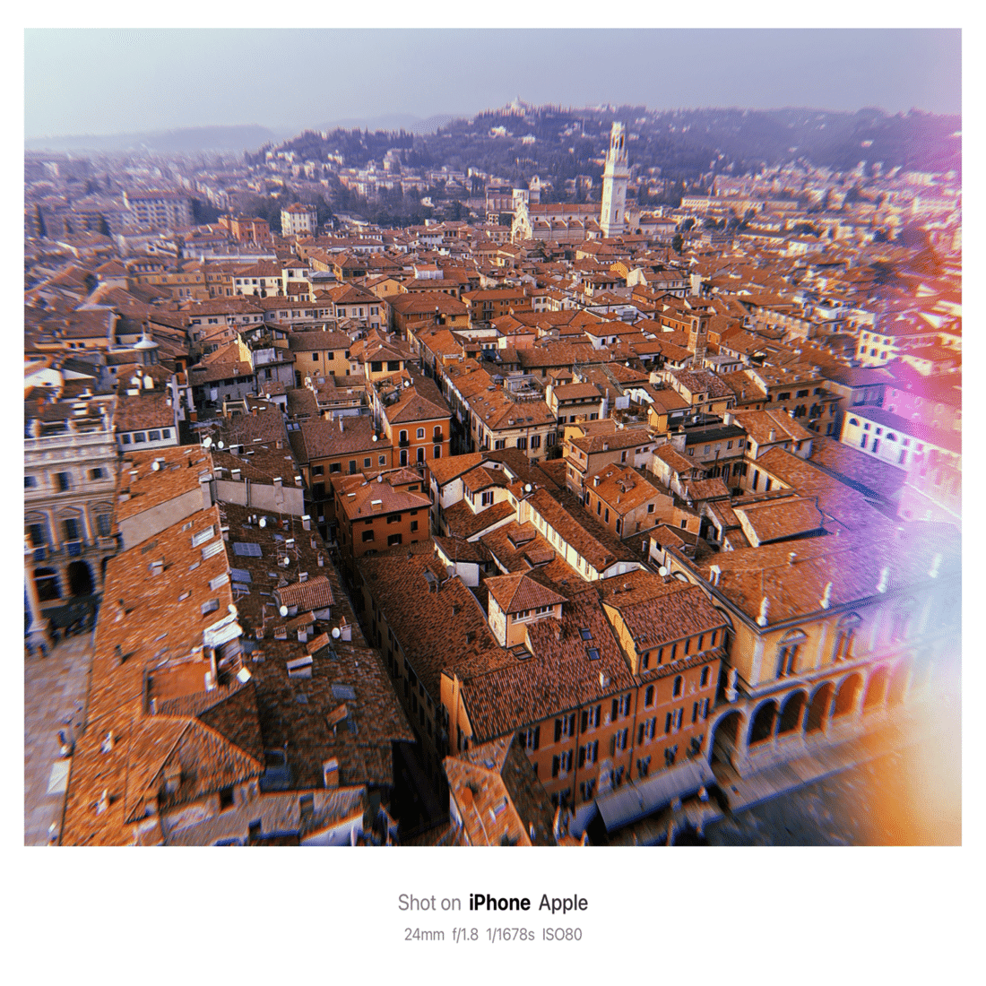 Art and architecture in Verona / ヴェローナ 建築 芸術(Verona