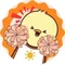 ゆち