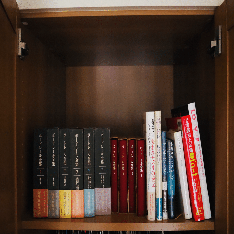 壮観でした♪｜ボードレール全集｜日記｜星の汀 / ほしのみぎわ