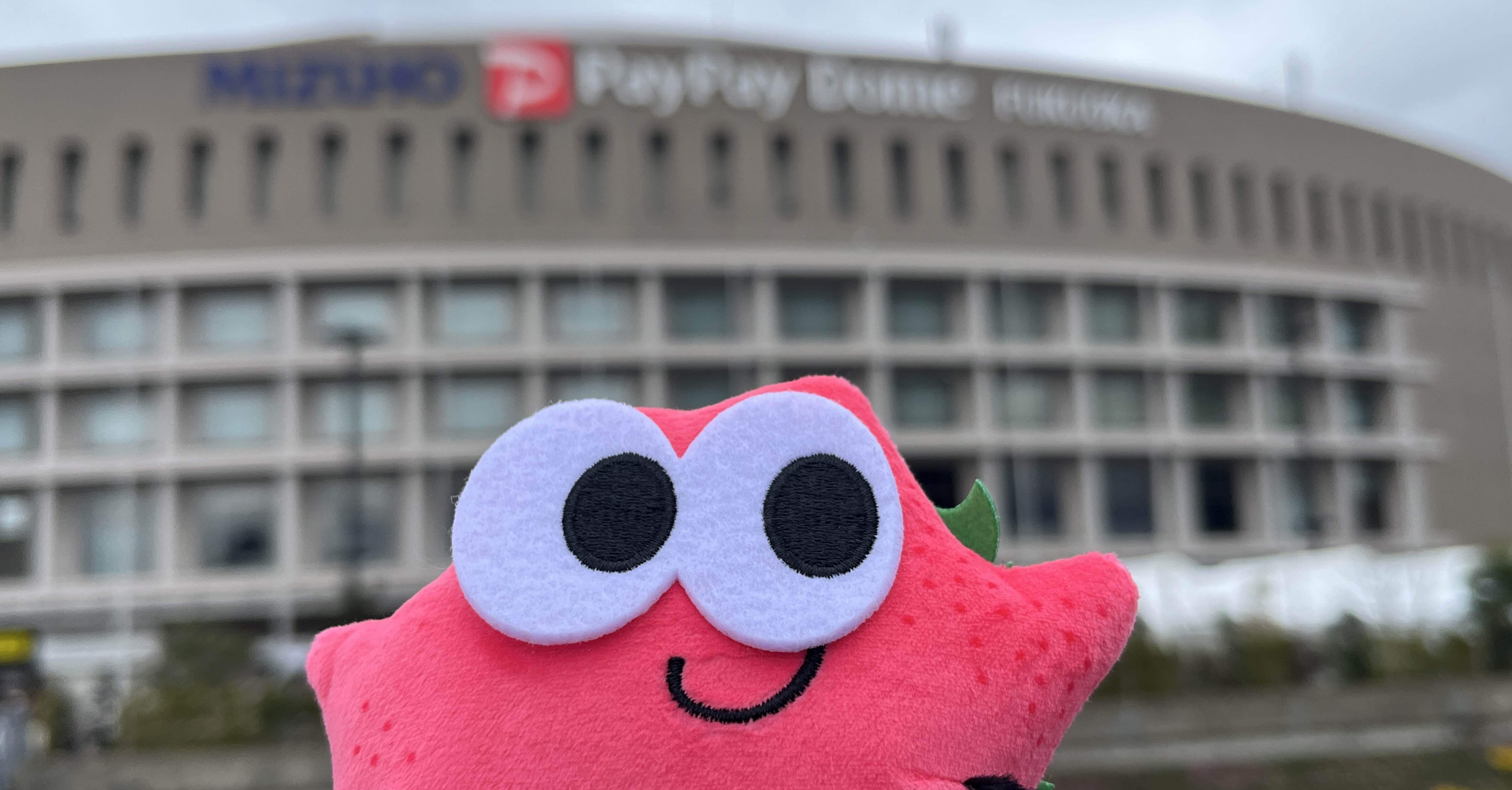 ネタバレあり】Nissy『BEST DOME TOUR』@福岡｜LEO