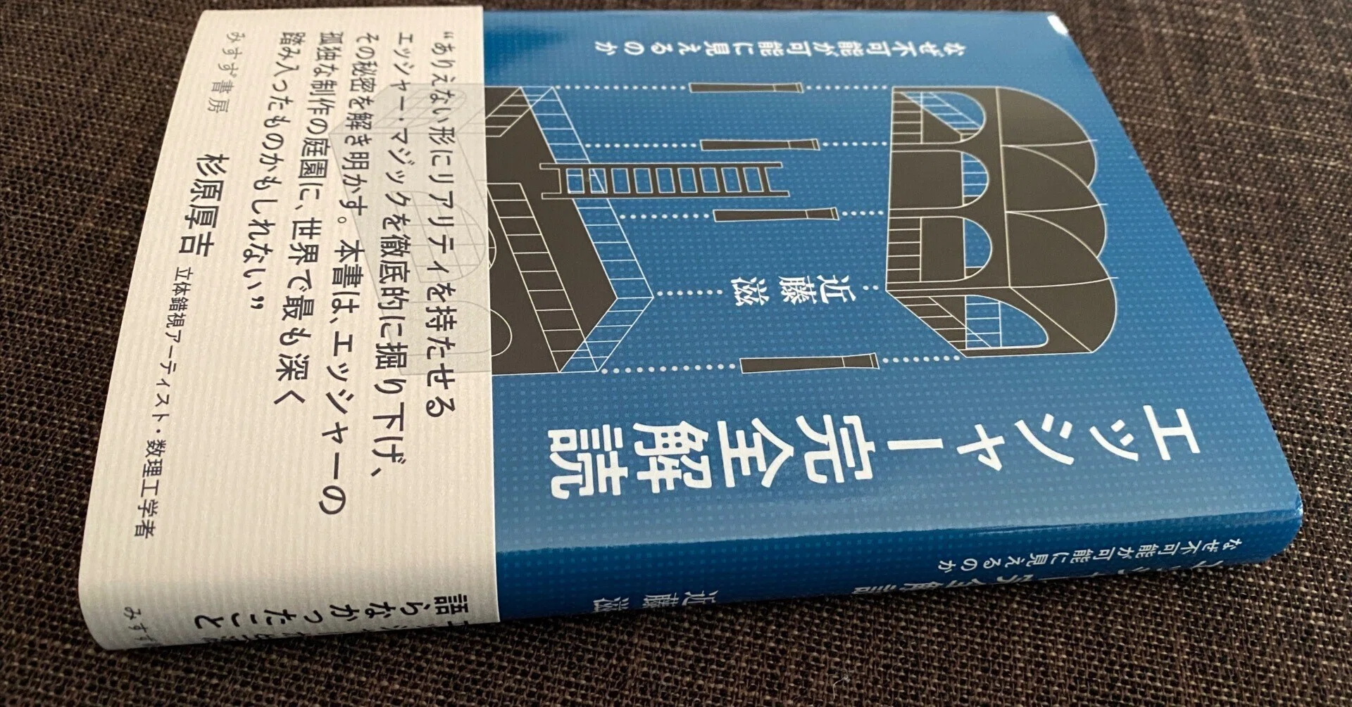書評：ではなく／書籍の紹介と／からの夢想『エッシャー完全読解』近藤 