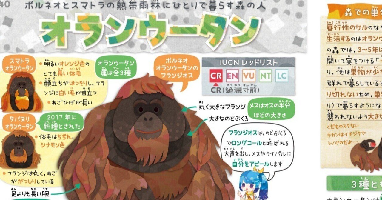オランウータンの本1．孤独な森の住人 - 人類学のススメ