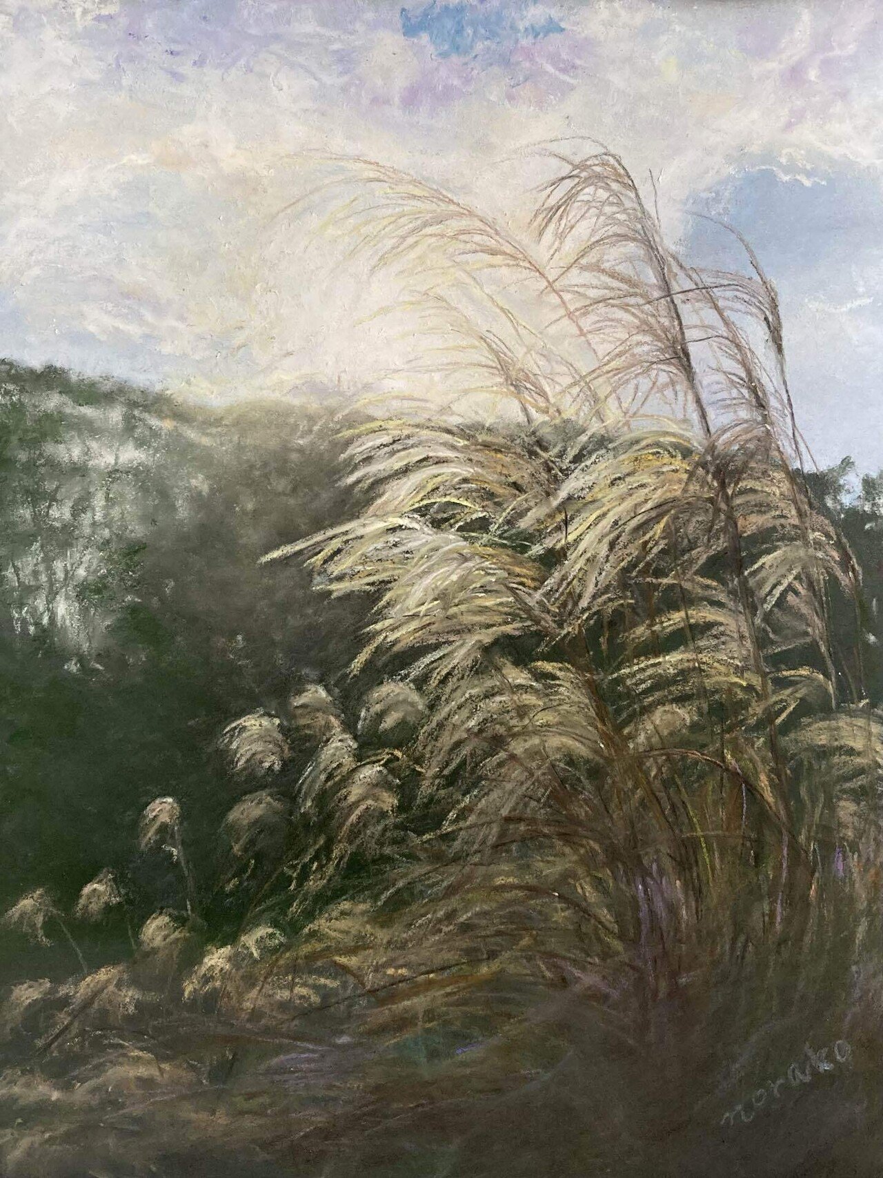 新作『黄金色のススキ』｜のらこ