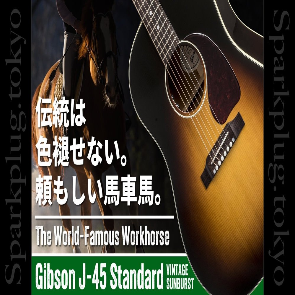 まさにアコースティックギターの大定番、ギブソン「J-45 Standard