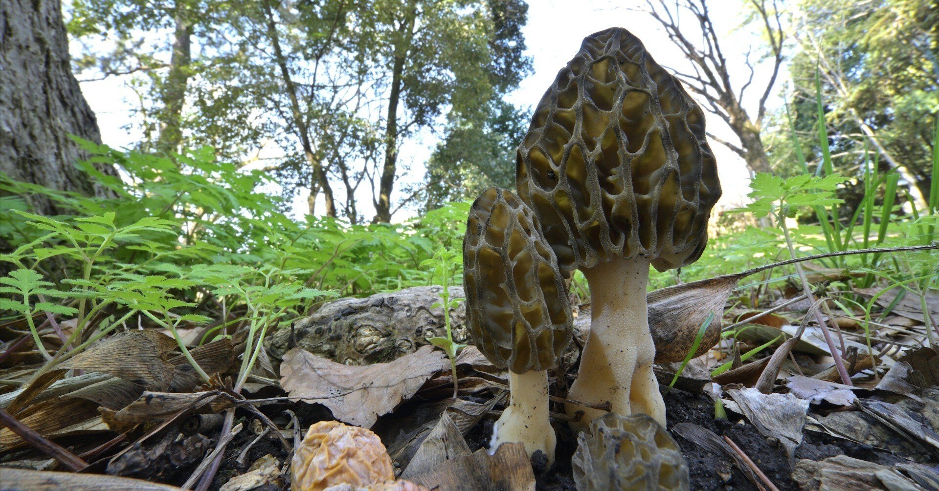 e55a45dae6ad98b0d8cb64d78dbfb3