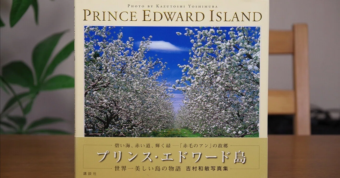 希少 ❣️プリンス・エドワード島 を描いたオリジナル！✴可愛らしい繊細な原画 ！ 作品集】 デビュー作となった『プリンス・エドワード島』について