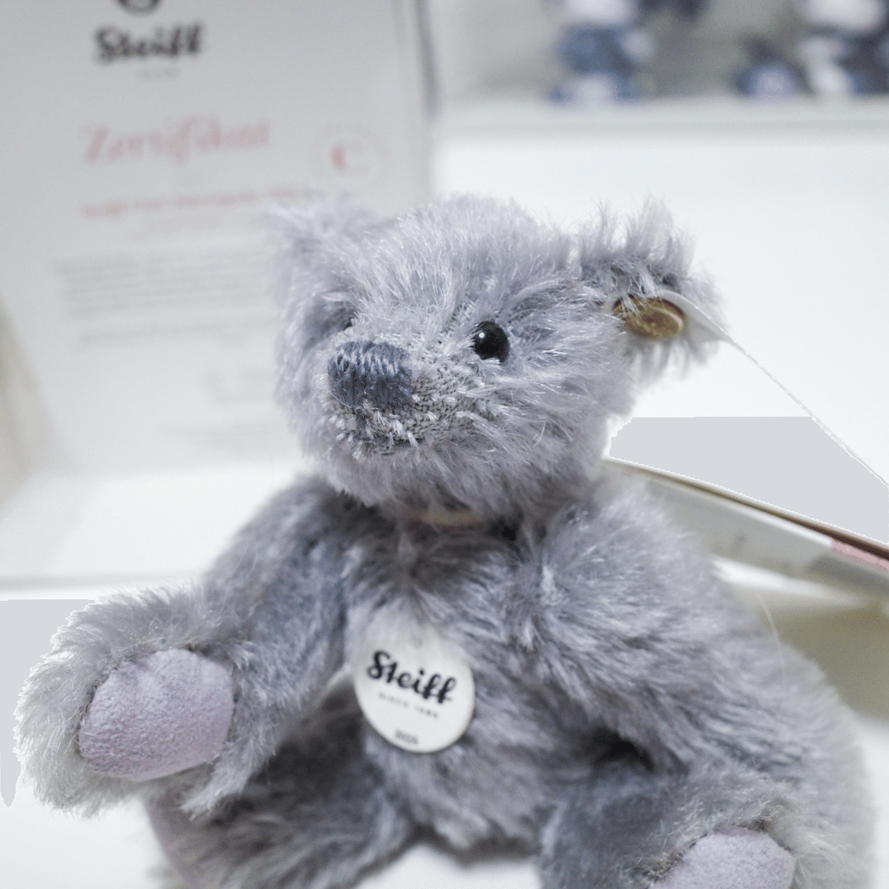 元祖テディベア！シュタイフの会員になりました｜ハチ(ユリ)