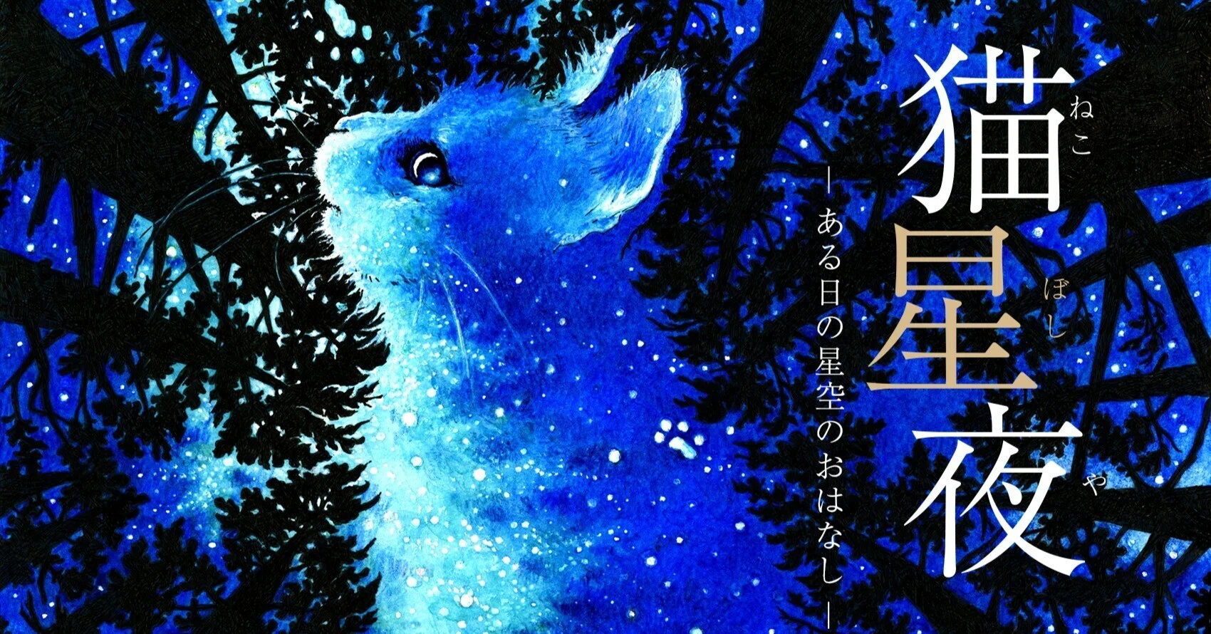 コニカミノルタ 猫星夜 -ある日の星空のおはなし- にいってきた｜じょーじ