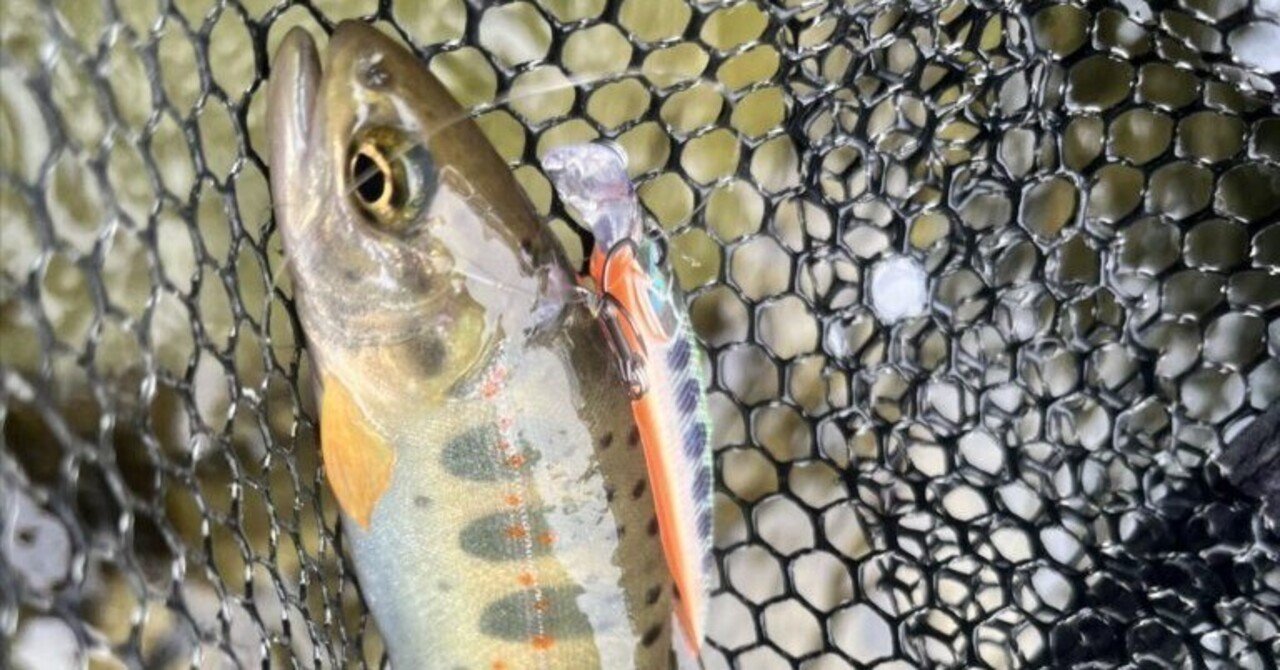 渓流でも ウッドベイトミノーアマゴ 渓流でも ウッドベイトミノーアマゴ 渓流でもウッドベイトミノー