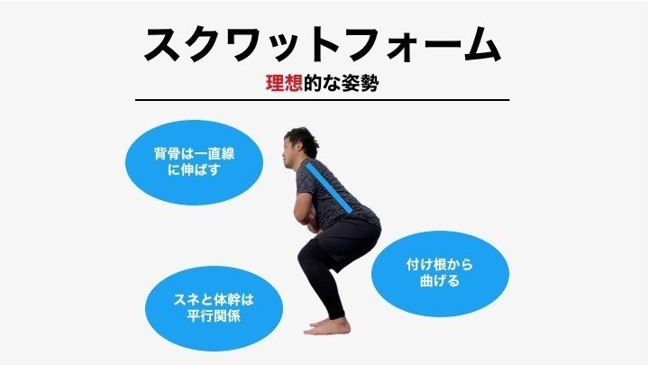 スクワットで怪我をしないカラダの整え方 サッカー選手 向けフィジカルサポートnote 石橋 哲平 Note スクワットで怪我をしないカラダの整え方 サッカー選手 向けフィジカルサポートnote 石橋 哲平 Note