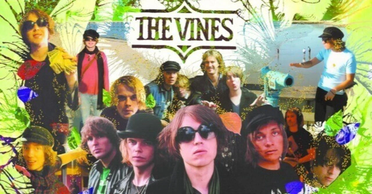 The Vines - He's A Rocker｜momo