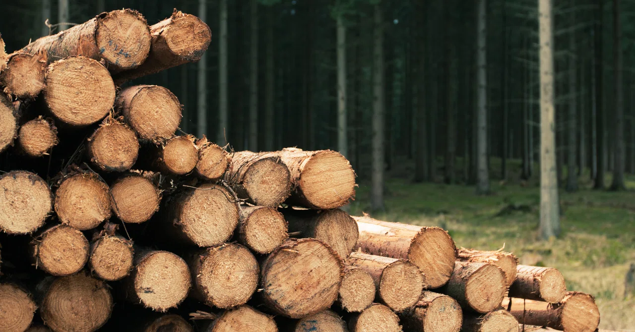 Have you ever heard of wood flow molding?｜やんうぇんりー【フォロバ100%】