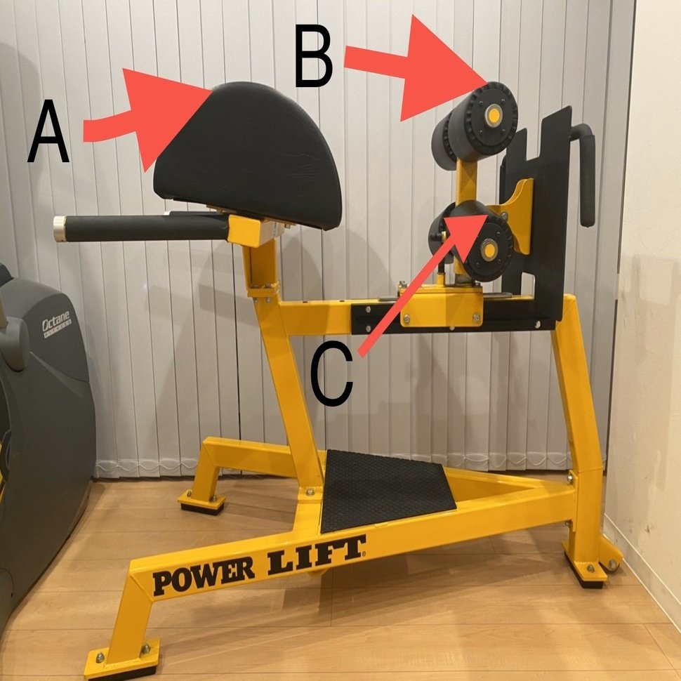 トレーニング機器　グルートハムディベロッパー　ユーズド　前半分 Alibaba.comでグルートハムデベロッパー話者市場のために最も