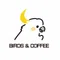 BIRDS & COFFEE_徳永 裕