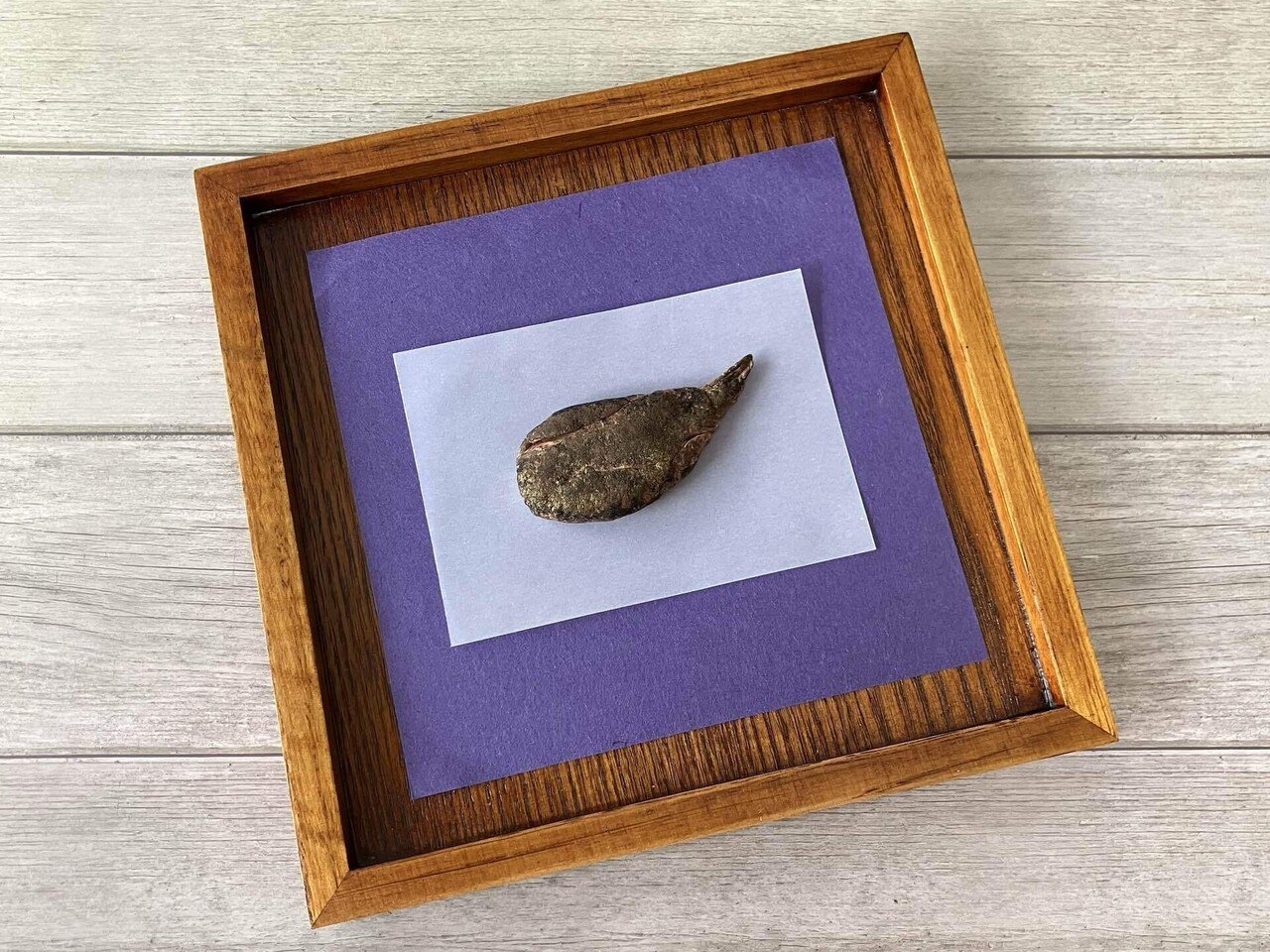 くまのたんのう