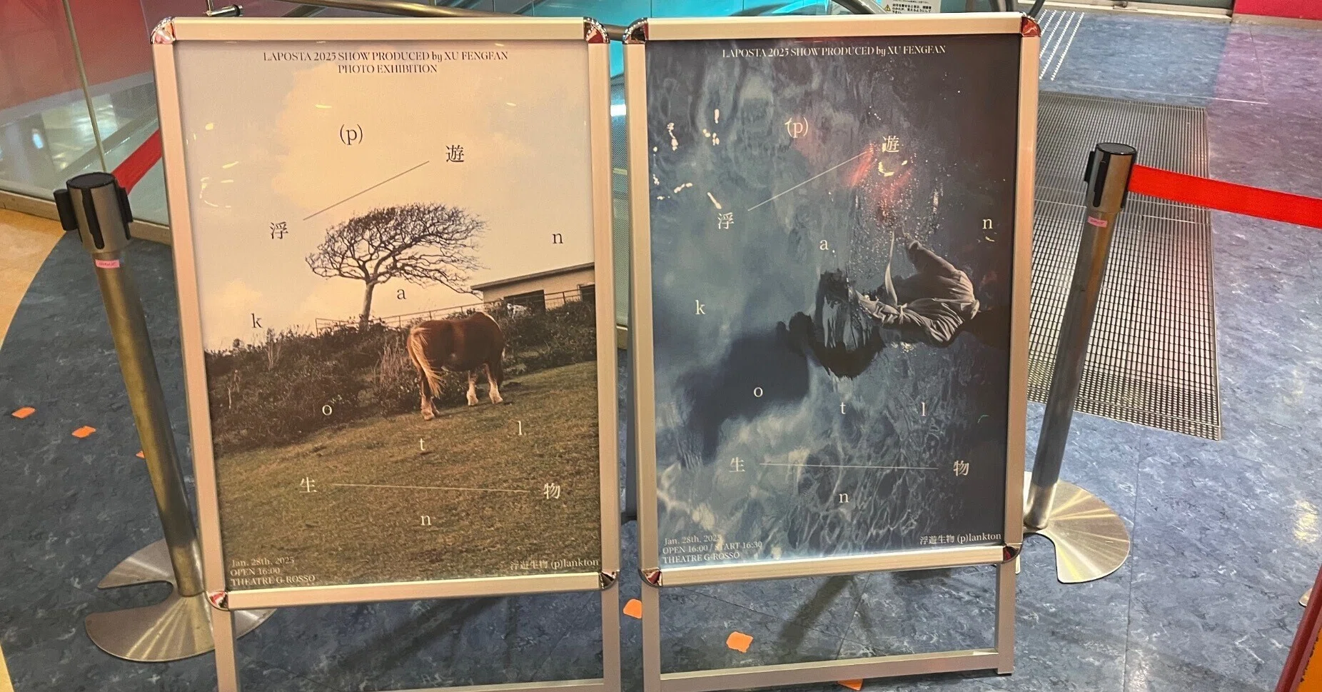 INI 許豊凡 ソロコン 浮遊生物 入場特典 ポストカード 浮遊生物、あなたもわたしも｜あんず飴