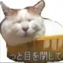 八木メッシ