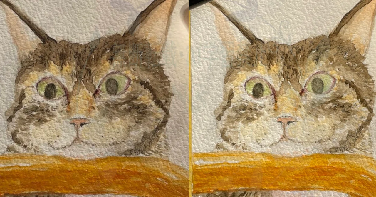 The Problem of Instagram Posts Appearing Dark｜ゆまおyumaotte/illust ...