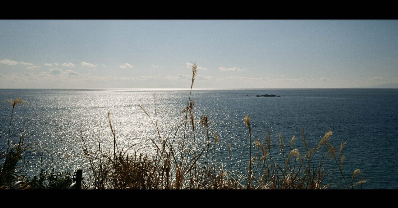 Haseelblad Xpan II 説明書⭐︎ ハッセルブラッド フィルムカメラ hq720.jpg?sqp=-