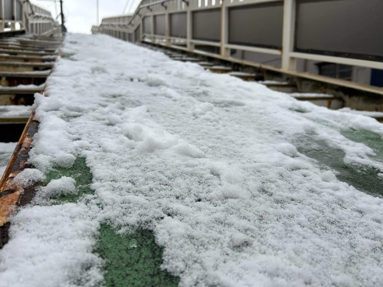 鹿児島市でも雪 交通機関にも影響｜鹿児島地域交通通信社 公式note