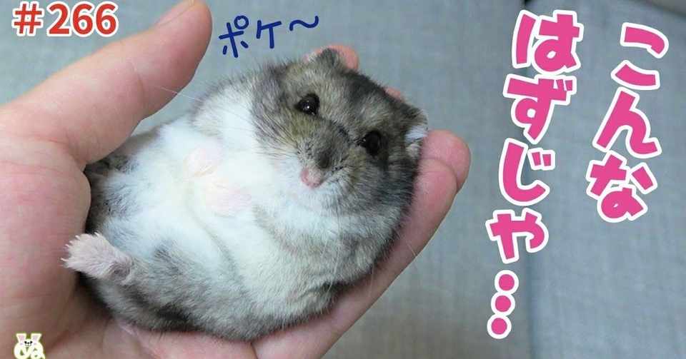 おつまみ動画 11段 育て方を間違えた結果 野生の本能を忘れて