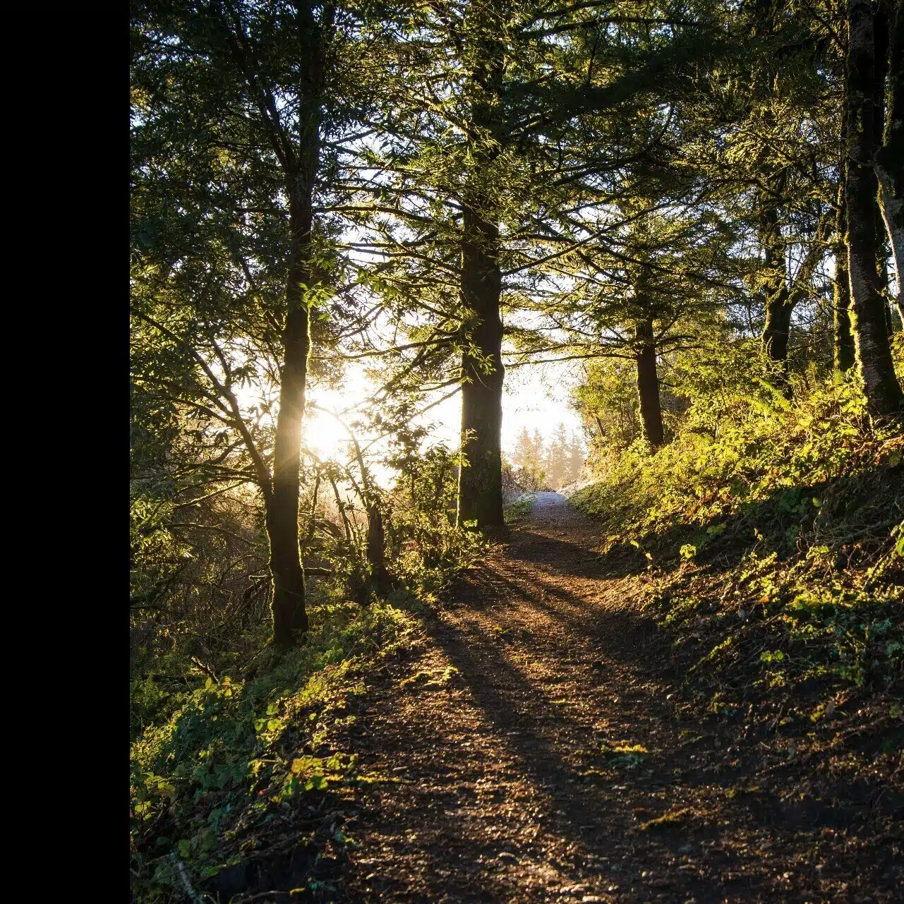 Your Glow, Your Journey  - あなたの輝き あなたの旅路 -