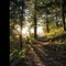 Your Glow, Your Journey - あなたの輝き あなたの旅路 -