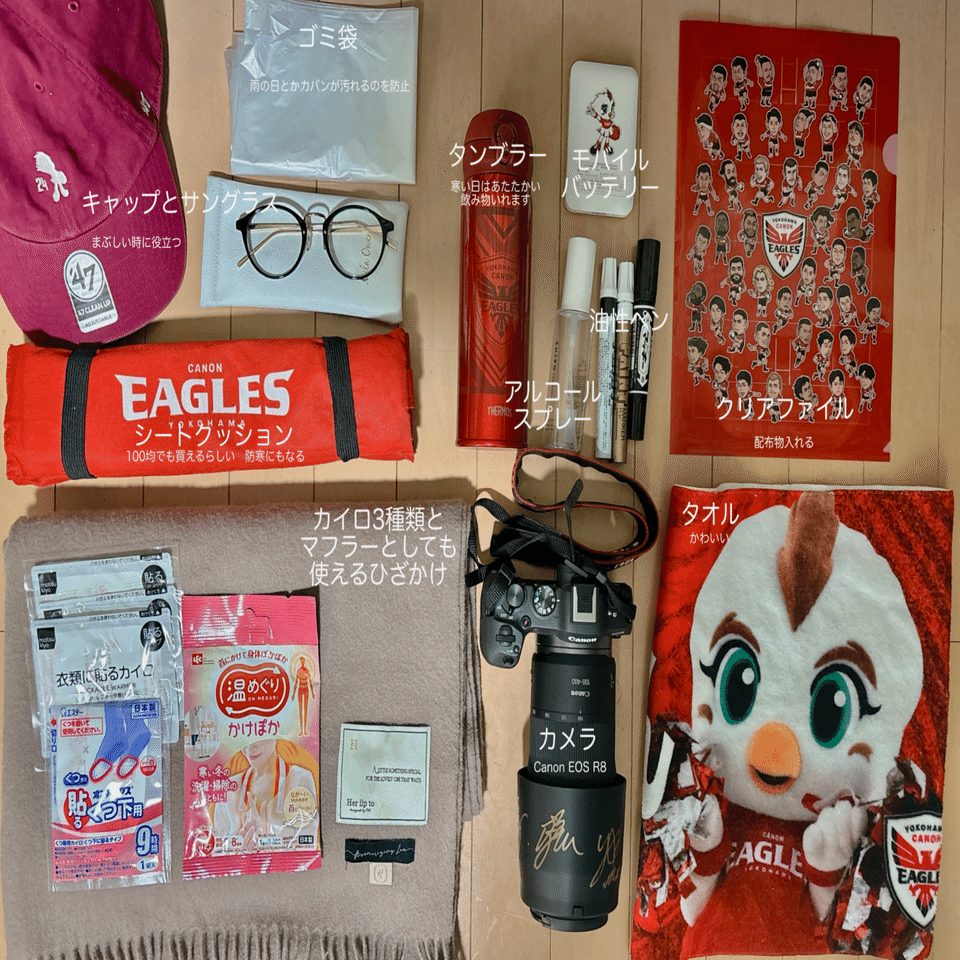 好き」があふれる空間、私の横浜キヤノンイーグルスのホストゲームの