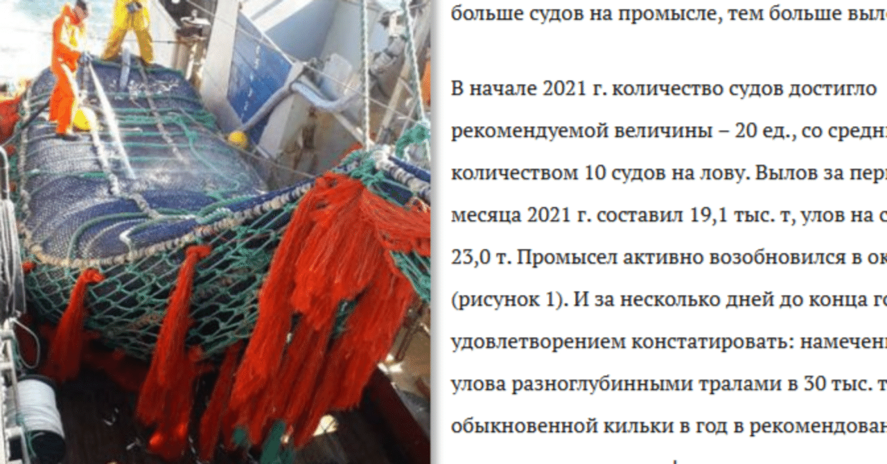 ショート忙喜利2025年1月2月｜ハシリドコロ